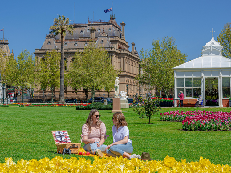 Bendigo annual tulip display