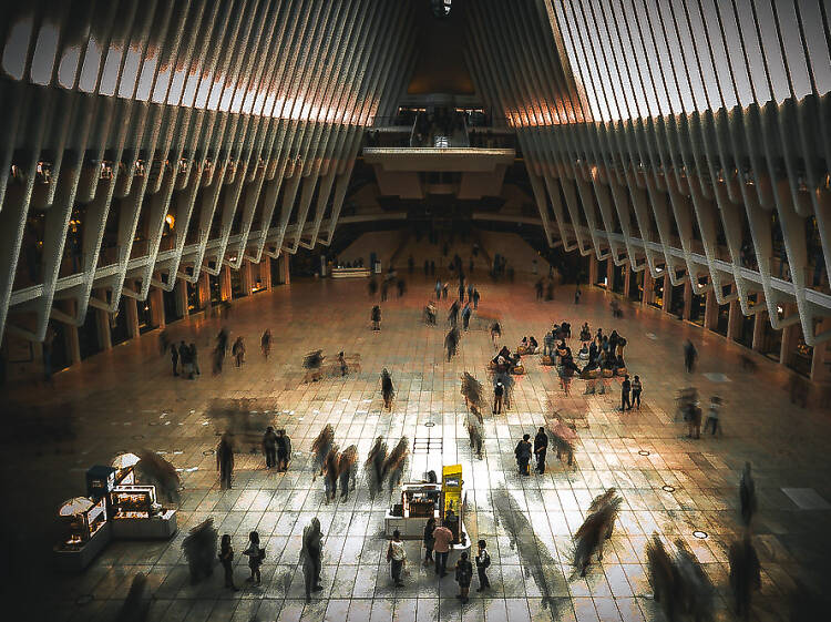 See a not-so-scary haunted house at The Oculus