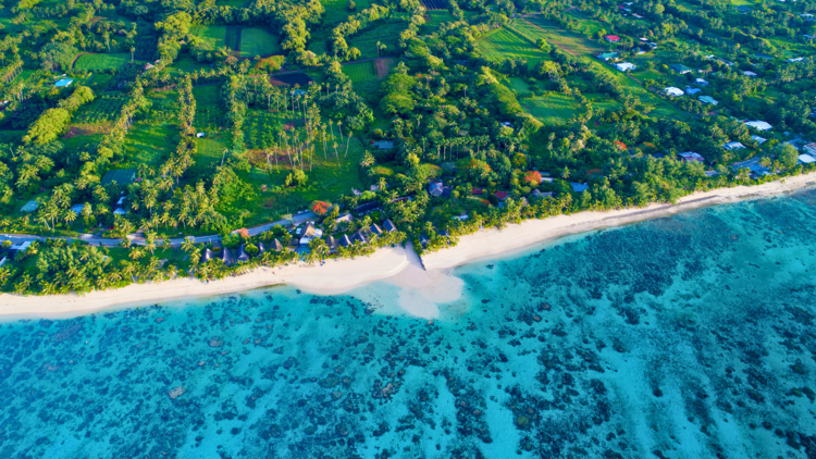 A birds eye view shot of a beach with lush greenery