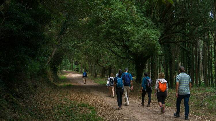 Caminhada e Piquenique no Bosque do Silêncio