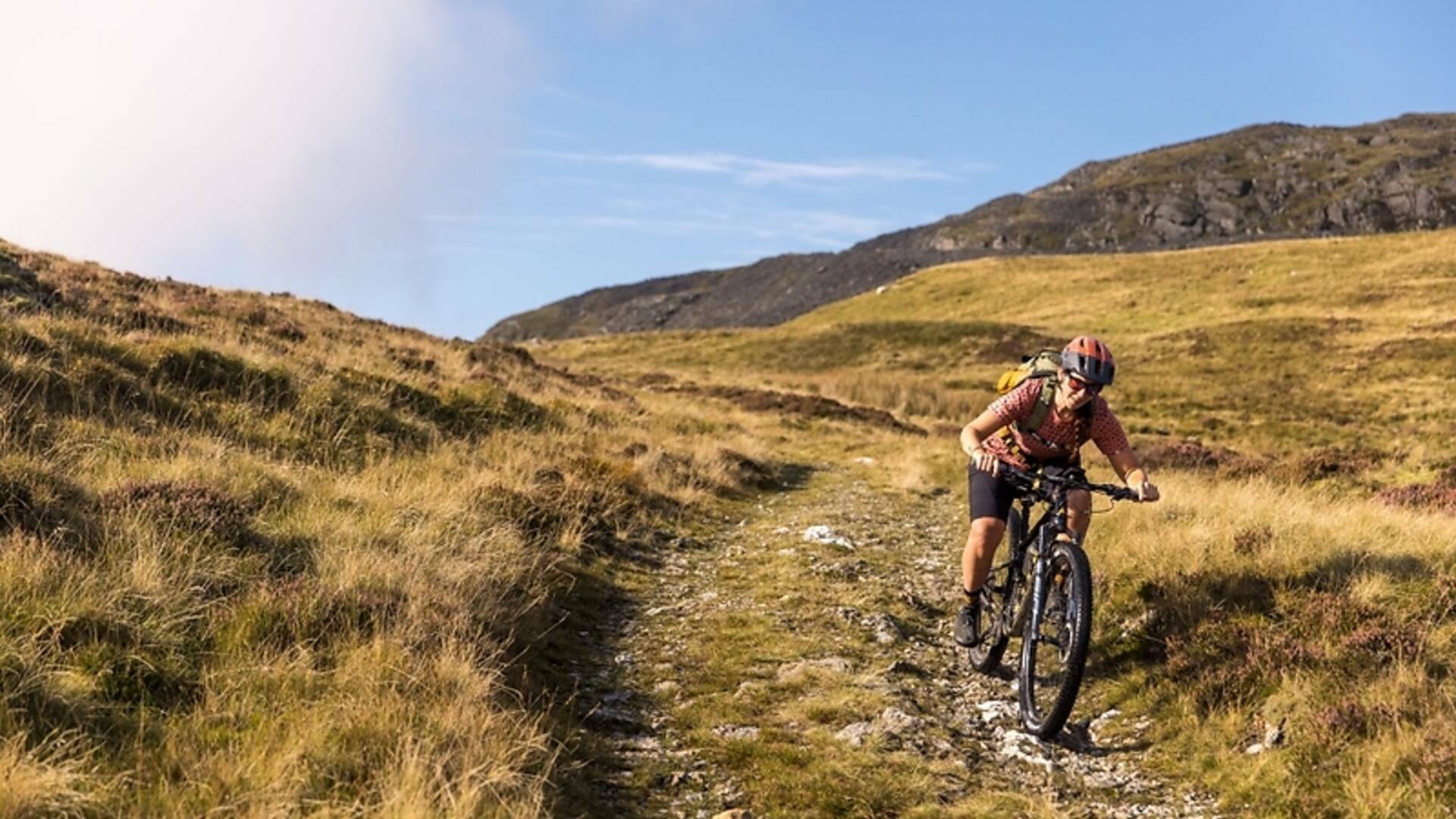 Snowdon best sale bike trails