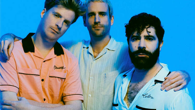 Foals