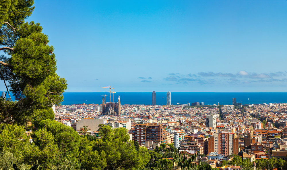 Bosque de pinos en Barcelona
