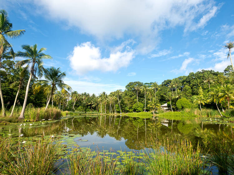 Get a glimpse of old island life at Pulau Ubin