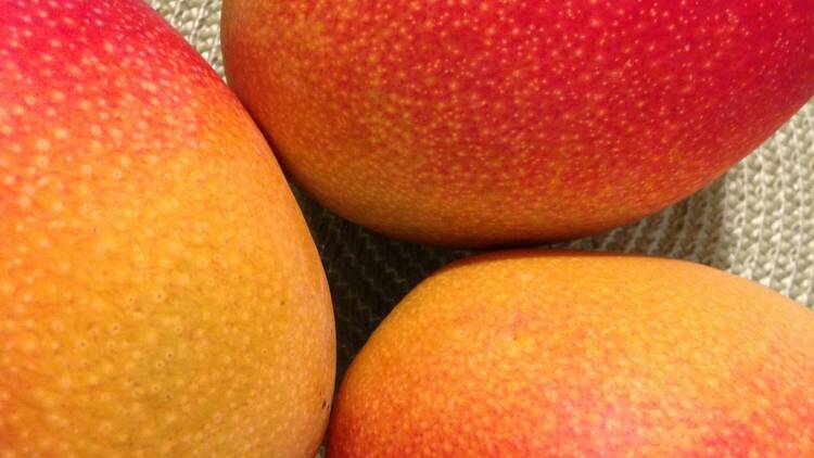 Three mangoes on a straw tray