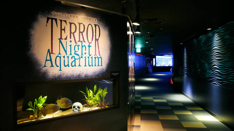 TERROR Night Aquarium