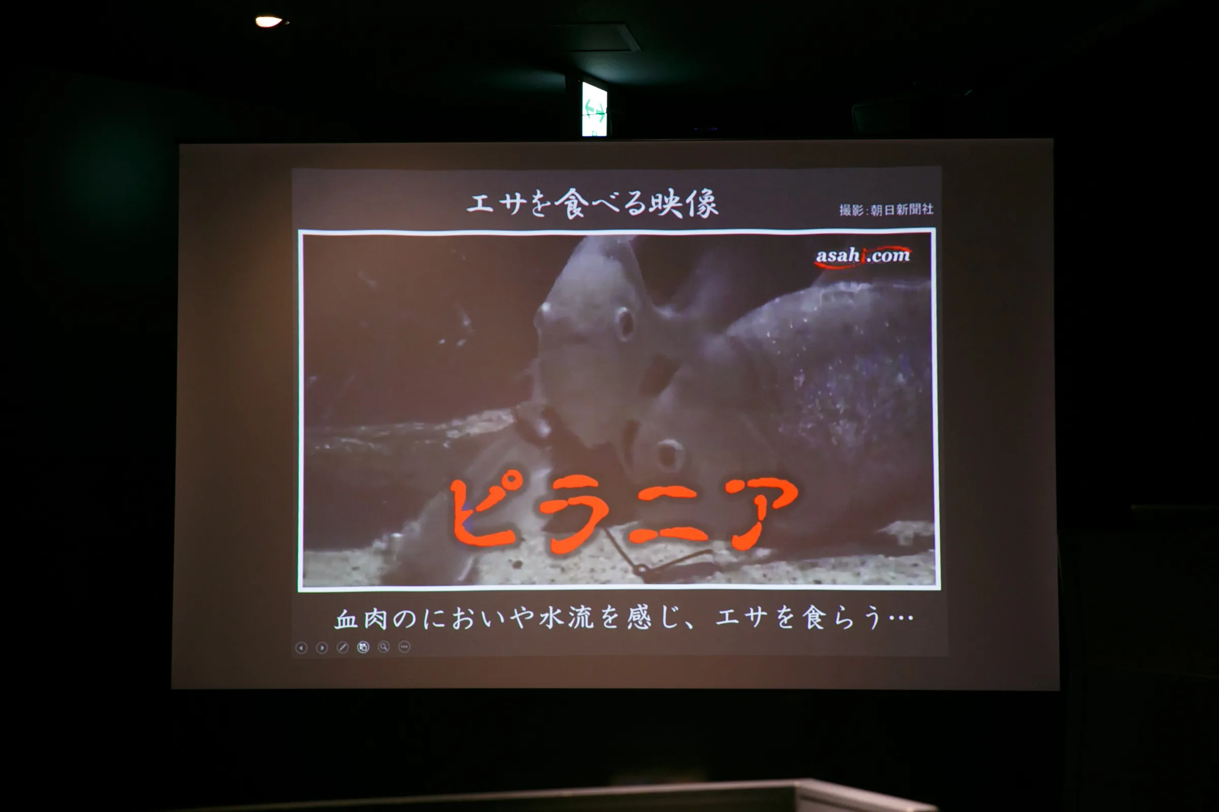 TERROR Night Aquarium