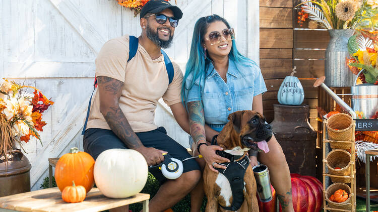 Pumpkins & Palm Trees Fall Fest