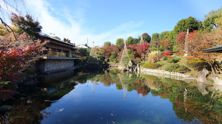 めじろアートナイト「庭園の紅葉ライトアップ」