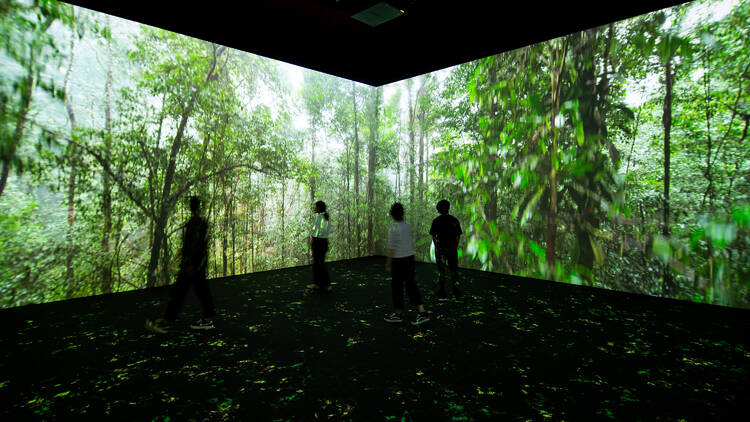 Sensory Odyssey: Into the Heart of Our Living World at ArtScience Museum