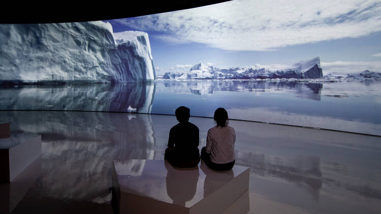 Installation views of To the End of the World, Sensory Odyssey: Into the Heart of Our Living World at ArtScience Museum