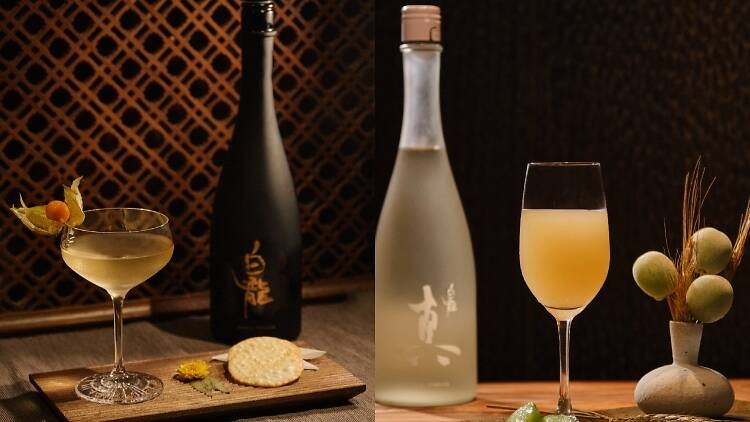 room 309 and hakuryu sake cocktails