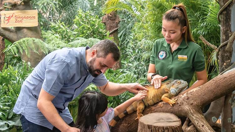 Be a zookeeper for a day