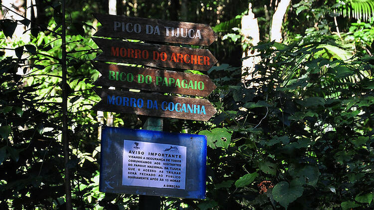 Placas de indicação na Floresta da Tijuca