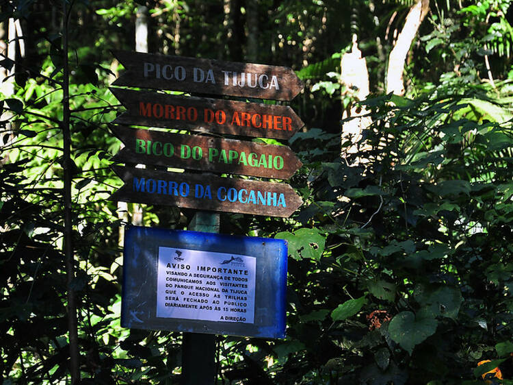 Tomar banho de cachoeira na Floresta da Tijuca