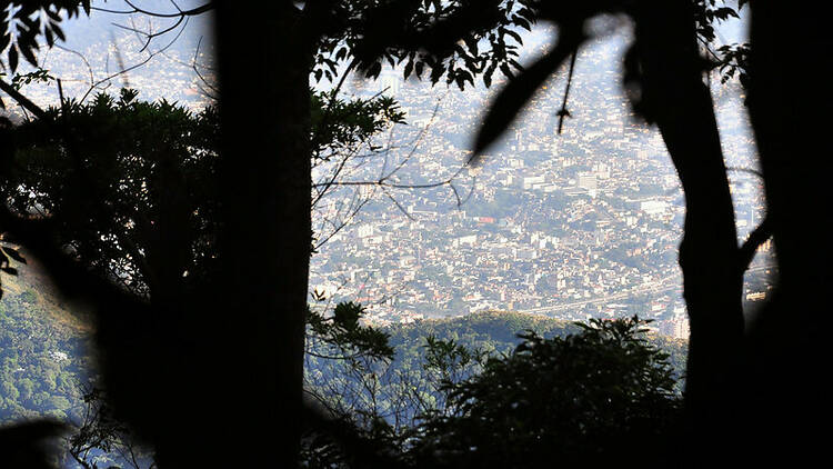 Vista da cidade do alto da Floresta da Tijuca