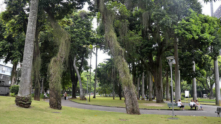 Have a picnic in the park