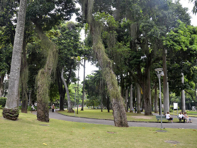 Have a picnic in the park