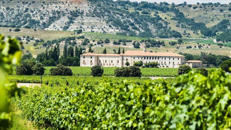 La increíble bodega con hotel y estrella Michelin escondida en un monasterio del siglo XII: Abadía Retuerta