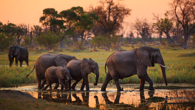 Botswana