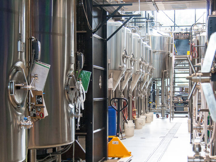 Take a Brewery Tour