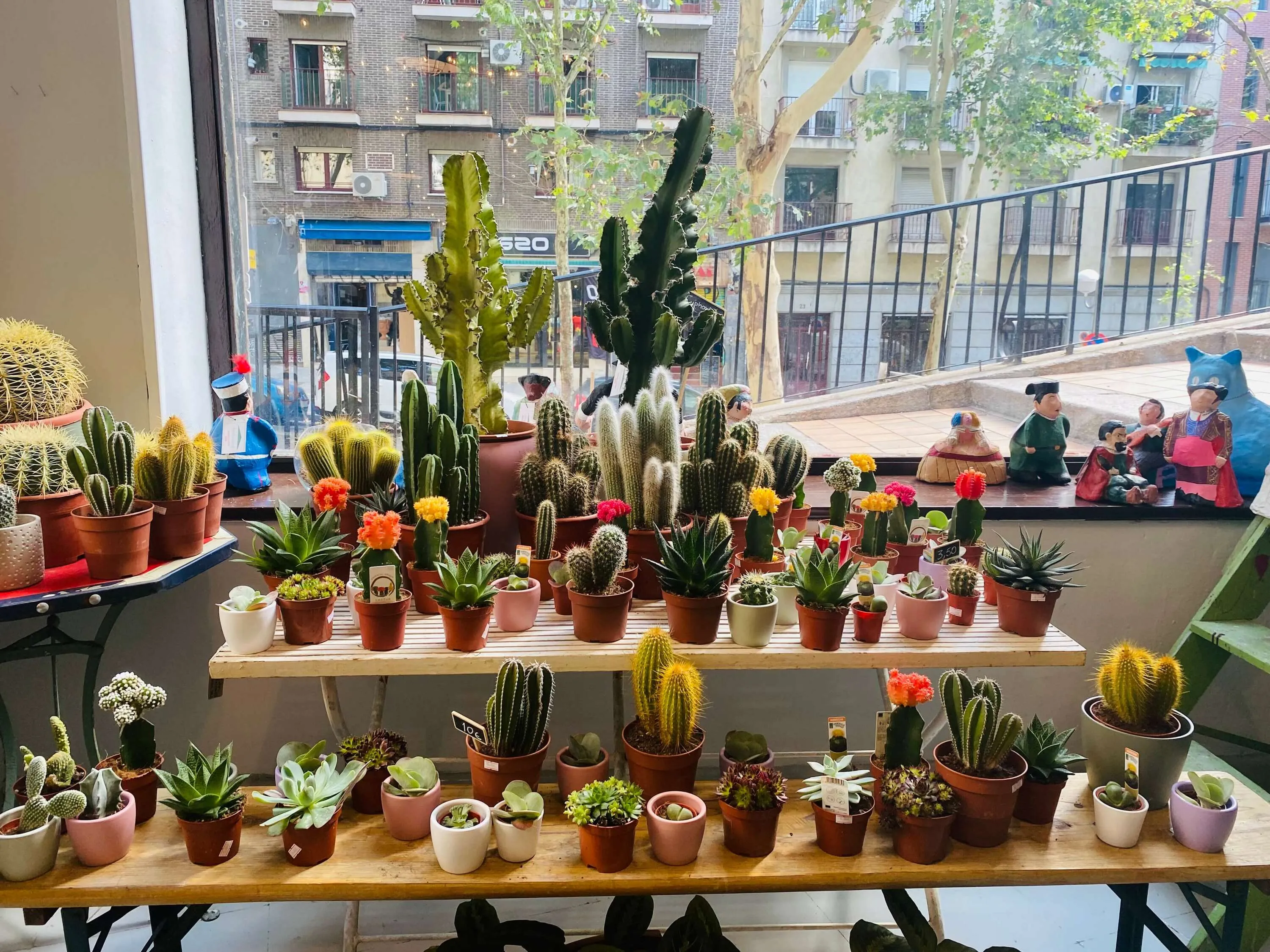 Plantas entre muebles vintage: así es la nueva tienda que conquista el Rastro