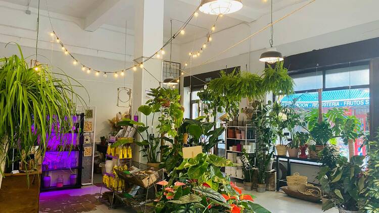 Plantas entre muebles vintage: así es la nueva tienda que conquista el Rastro