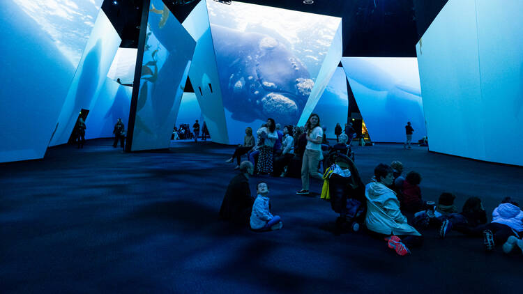 Huge screens display underwater views and animals with people sitting in the middle. 