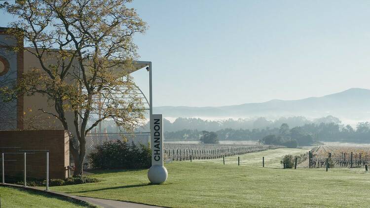 Views of Domaine Chandon winery and the Yarra Ranges.