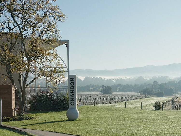 Chandon's Spring Tasting Experiences