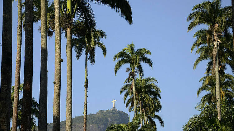 O Cristo redentor com o topo de palmeiras em seu entorno