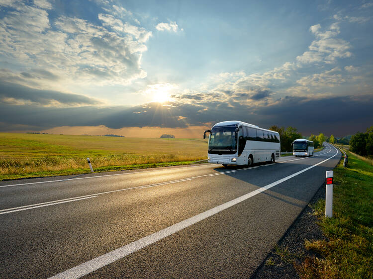 Could bus travel actually be better—and faster—than flying?