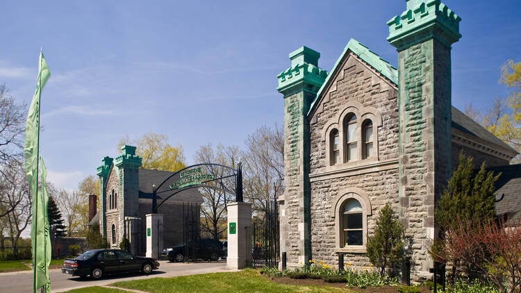 Notre-Dame-des-Neiges Cemetery