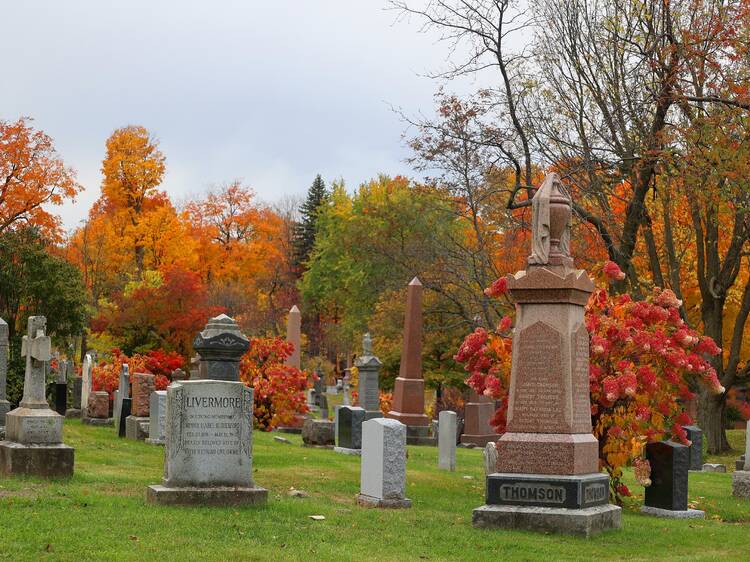 The most beautiful cemeteries in Montreal worth visiting