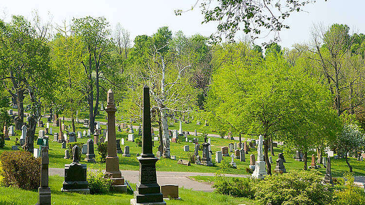 Mount Royal Cemetery