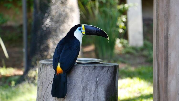 BioParque do Rio