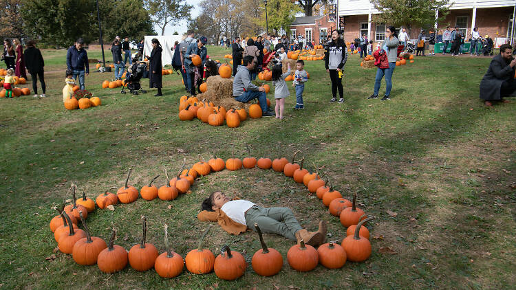 Pumpkin Point at Governors Island