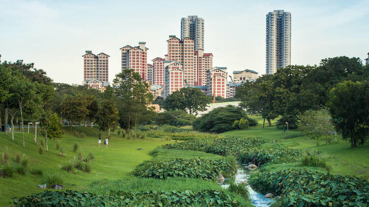 Bishan-Ang Mo Kio Park