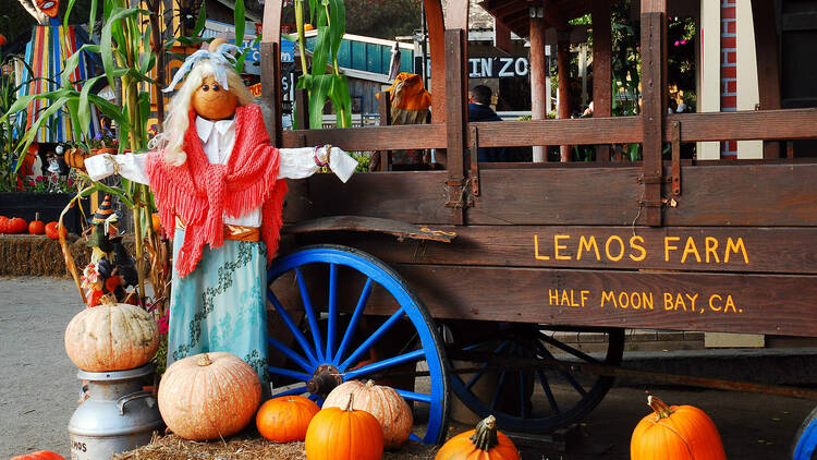 LIST: Pumpkin Patches in the valley