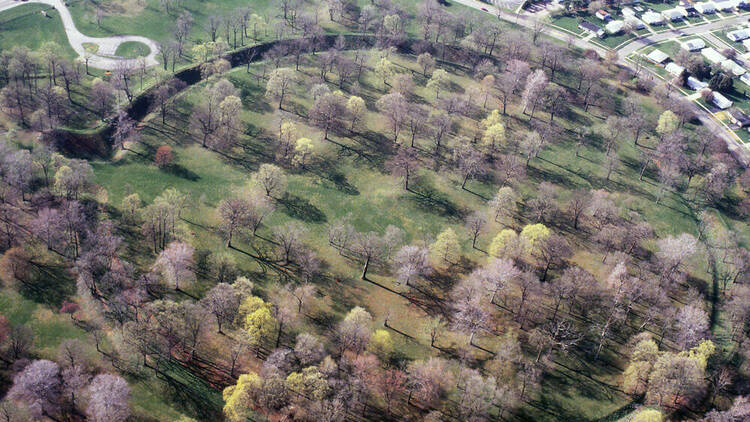Great Circle Earthworks: Aerial View