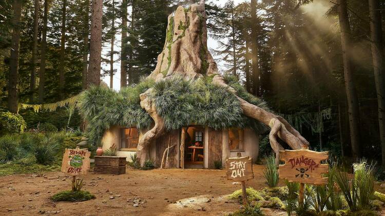 Shrek's Swamp on Airbnb