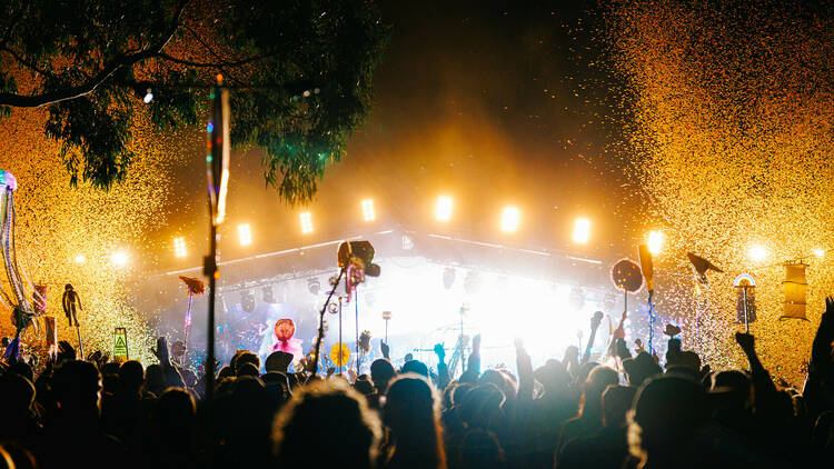 picture of people partying in front of a stage at meredith music festival