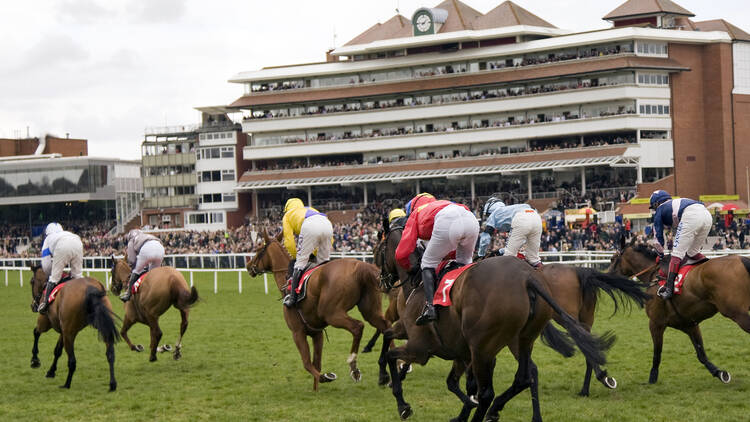 Places your bets at Newbury Racecourse