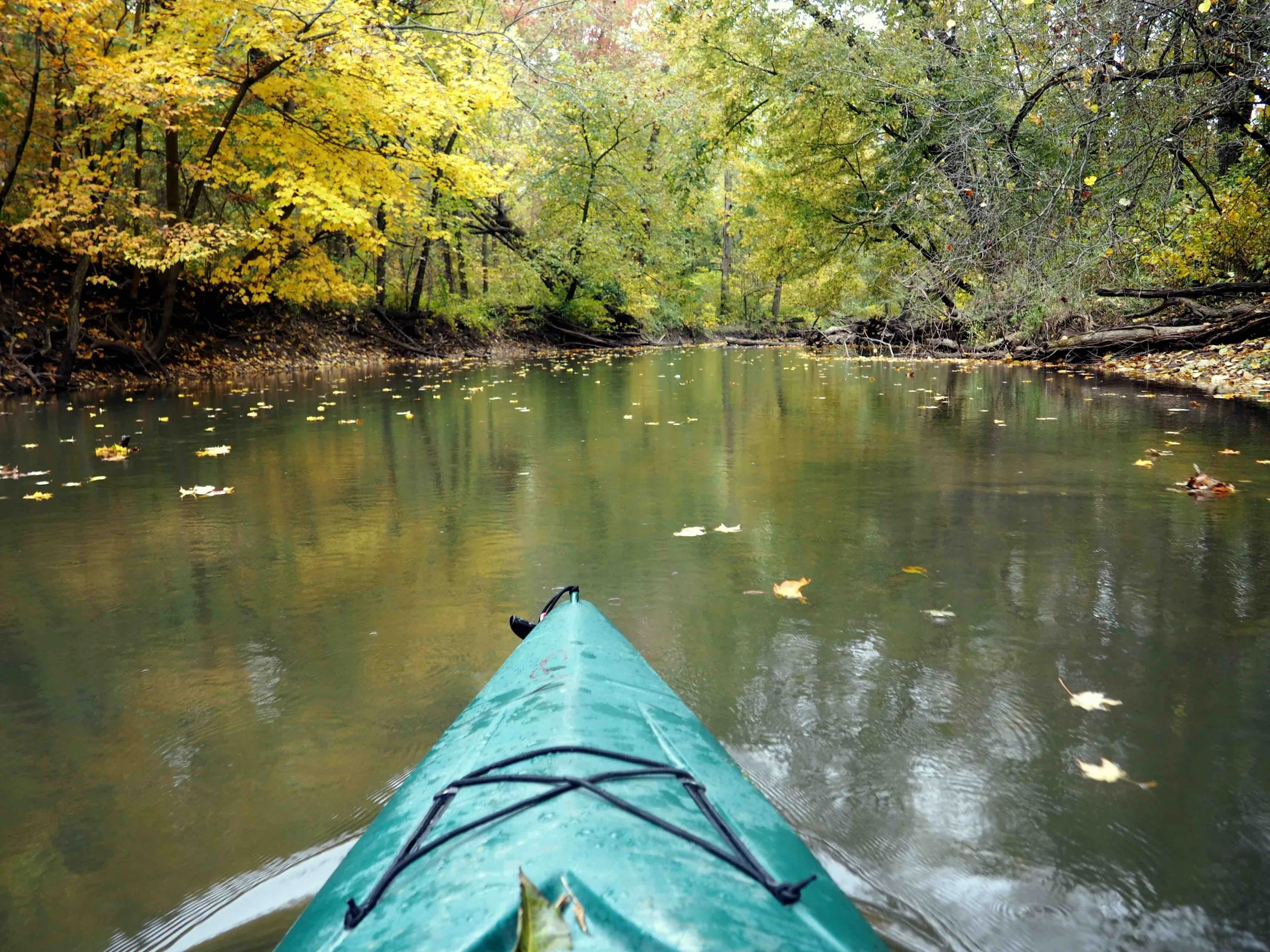 A kayak in a river