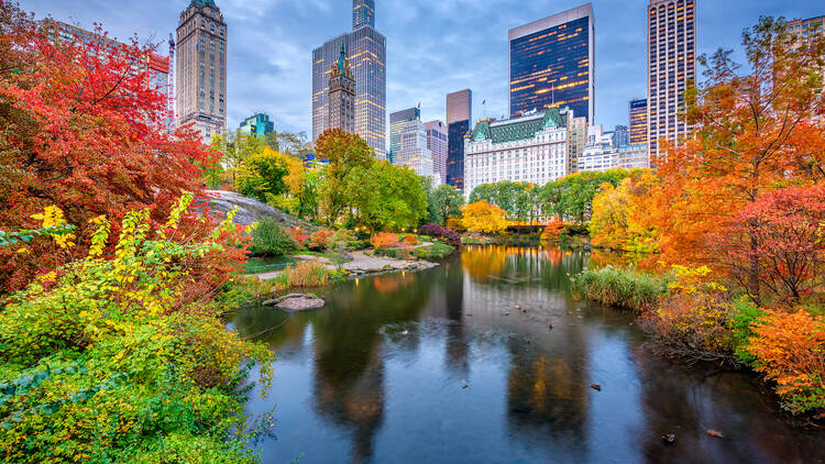 100 Best Things to Do in NYC for locals and tourists