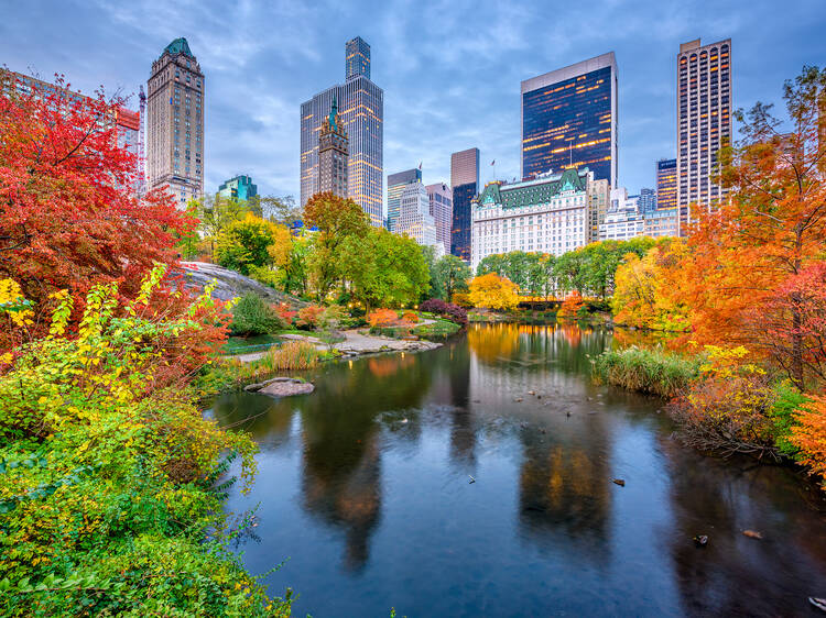 The 100 best things to do in NYC for locals and tourists