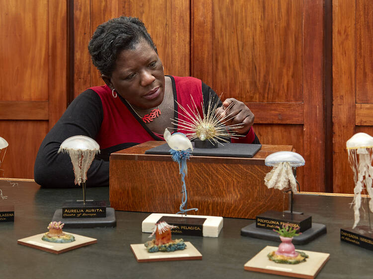 Explorers Family Festival: Black Natural History