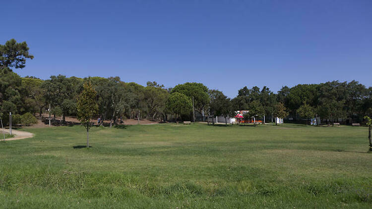 Parque Municipal do Serrado