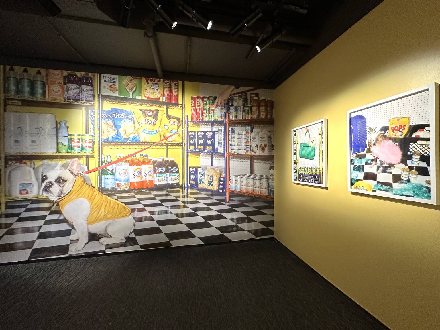 Best Museum Exhibits in NYC to Explore in 2023