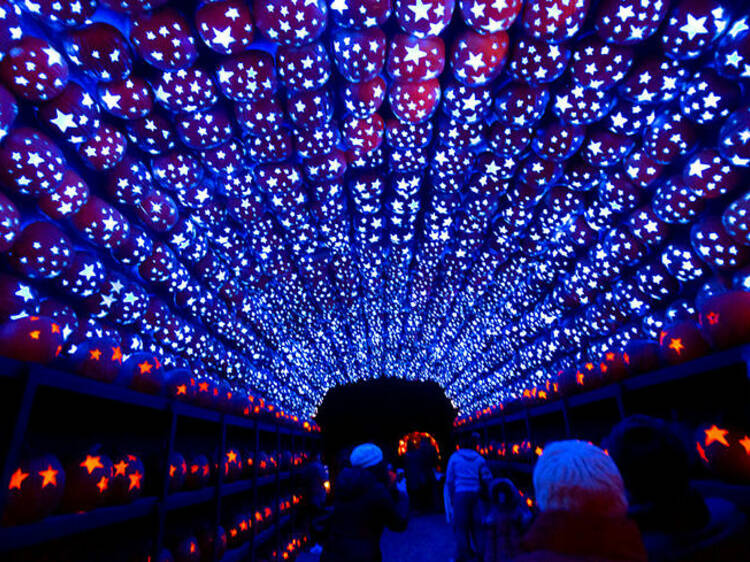 Croton-on-Hudson, NY: The Great Jack O’Lantern Blaze